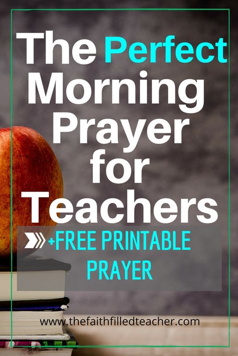 Scripture For Teachers, Prayer For Teachers, Teacher Devotions, Christian Teacher Quotes, Verses For Teachers, A Morning Prayer, Teacher Encouragement Quotes, Words For Teacher, Prayer For Students