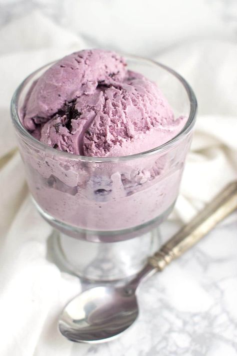 Low Fat Ice Cream Recipe, Homemade Blueberry Ice Cream, Dessert Bullet Recipes, Plum Ice Cream, Blueberry Ice Cream Recipe, Echinacea Tea Benefits, Low Fat High Protein, Low Fat Ice Cream, High Protein Gluten Free