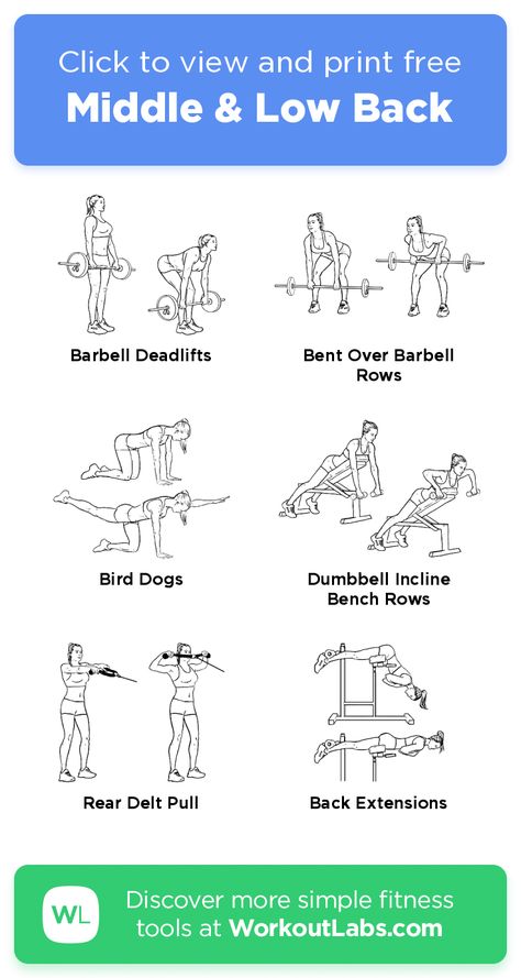 Low Back Exercises Gym, Middle Back Workout, Low Back Workout, Middle Back Exercises, Gym Weekly Workout Plan, Back Day Workout, Workout Labs, Gym Workout Plan For Women, Back Fat Workout