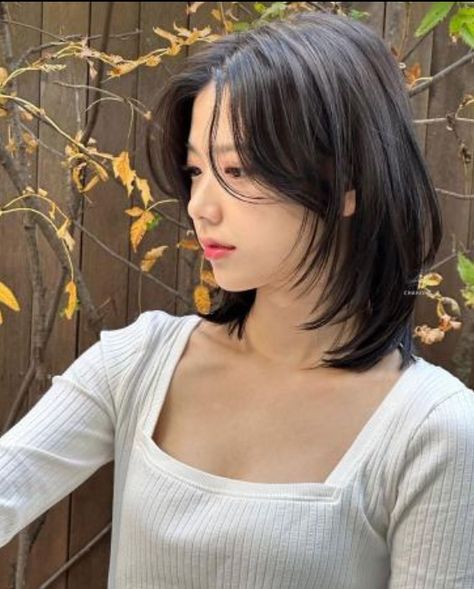 Pretty Hair Cuts, Shortish Hair, Shot Hair, Hair Inspiration Long, Layered Haircuts For Medium Hair, Asian Short Hair, Hair Inspiration Short, Short Hair Tutorial, Haircuts For Medium Hair