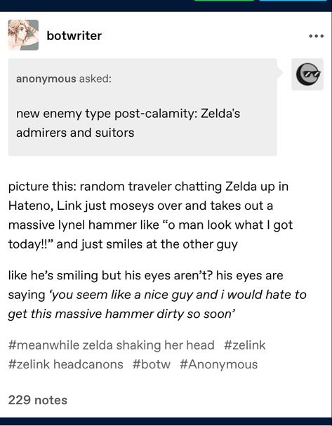 Zelink Headcanons, Link Headcanon, Zelink Breath Of The Wild, Botw Funny, Ocarina Of Time Link, Linked Universe, Nerd Memes, Legend Of Zelda Memes, Zelda Funny