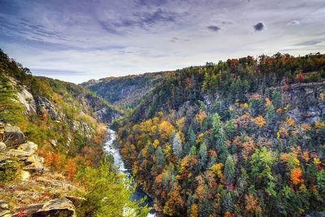 North Carolina Fall, Tallulah Gorge, Nails Marble, Gorges State Park, Silver Falls State Park, Letchworth State Park, Smith Rock State Park, Most Romantic Places, Valley Of Fire