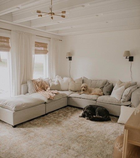 Cozy Sectional Sofa, Couch For Large Living Room, Kid Friendly Sofa Living Rooms, Big Comfy Sectional Couch, Best Couches For Dog Owners, Couch Inspo Living Room, Cloud Couch Decor, Apartment Living Room Sectional, Sunroom Guest Room