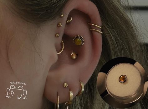 UMMMM WOWA!!!! ✨👌Look at this unique “snonch” @lilith.piercings pierced with @oraclebodyjewelry This piercing is highly dependent on anatomy, so Lilith did a fantastic job! Love this level of creativity? Book with Lilith today here! 👉 www.holiertoledo.com #piercing #snonchpiercing #professional #conchpiercing #cartilage #cartilagepiercing #earstyling #earcuration #gold #fashion #toledo #detroit #perrysburg #ottowahills #419 #ttown #safepiercing #conch #genuine #gemstone #jewelry Conch Piercing, Cartilage Piercing, Gold Fashion, Conch, Toledo, Anatomy, Gemstone Jewelry, Piercings, That Look