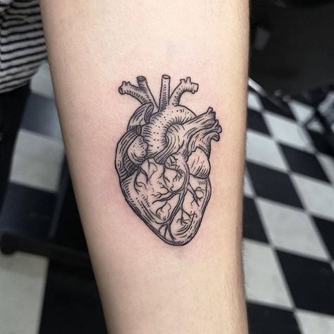 Real Heart Tattoos, Human Heart Tattoo, Tattoo Artistic, Realistic Heart Tattoo, Anatomical Heart Tattoo, Engraving Tattoo, Arm Band Tattoo, Heart Tattoo Designs, Anatomical Heart