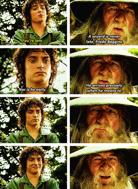 This is what happens whenever someone tells me I'm late/early. Then nobody but me laughs because I'm a nerd. A Wizard Is Never Late, Concerning Hobbits, Straight Face, The Hobbit Movies, Frodo Baggins, The Shire, Fellowship Of The Ring, Celebrities Humor, Legolas