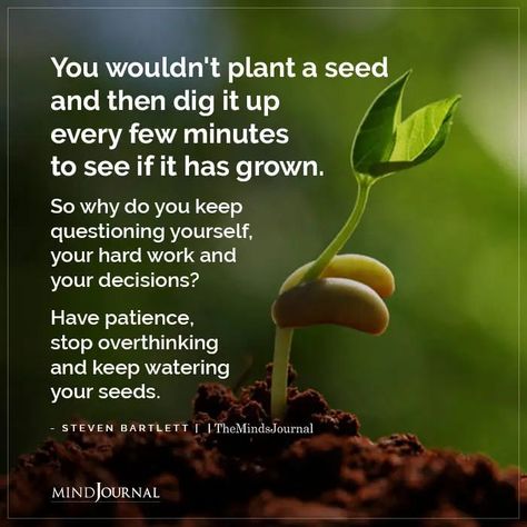 You wouldn’t plant a seed and then dig it up every few minutes to see if it has grown. So why do you keep questioning yourself, your hard work and your decisions? Have patience, stop overthinking and keep watering your seeds. - Steven Bartlett Planting Quotes Life Inspiration, Plant A Seed Quote, Plant Quotes Life Inspiration Thoughts, Plants Quotes Life Inspiration, Seeds Quotes, 2025 Intentions, Planting Seeds Quotes, Seed Growth, Seed Quotes