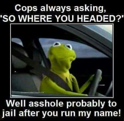 Kermit the Frog 🐸 Catholic Humor, Real Estate Fun, Mexican Humor, My Face When, Real Estate Humor, Kermit The Frog, Memes Kpop, Work Humor, The Frog