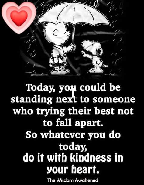 Today you could be standing next to someone who is trying their best not to fall apart. So whatever you do today, do it with kindness in your heart Quotes Positivity, Do It, Life Quotes, Darth Vader, Memes, Quotes, Christmas