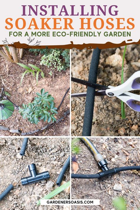 DIY Soaker Hose System (How To Install Soaker Hoses For A Greener Garden) | Gardens Diy Soaker Hose, Raised Garden Beds Irrigation, Soaker Hose Irrigation, Garden Watering System, Soaker Hose, Vegetable Garden For Beginners, Eco Friendly Garden, Full Sun Plants, Covered Garden