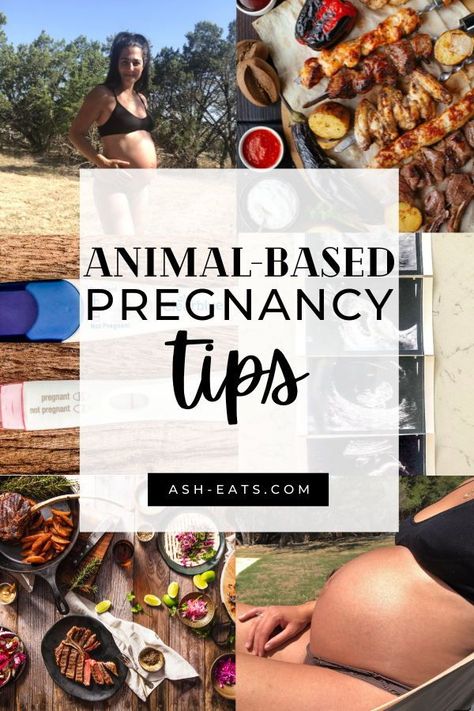 Animal Based Diet With Fruit, Carnivore Diet During Pregnancy, Real Food For Pregnancy, Carnivore Pregnancy, Animal Based Diet Recipes, Wild Pregnancy, Keto Pregnancy, Wise Traditions, Pregnancy Meals