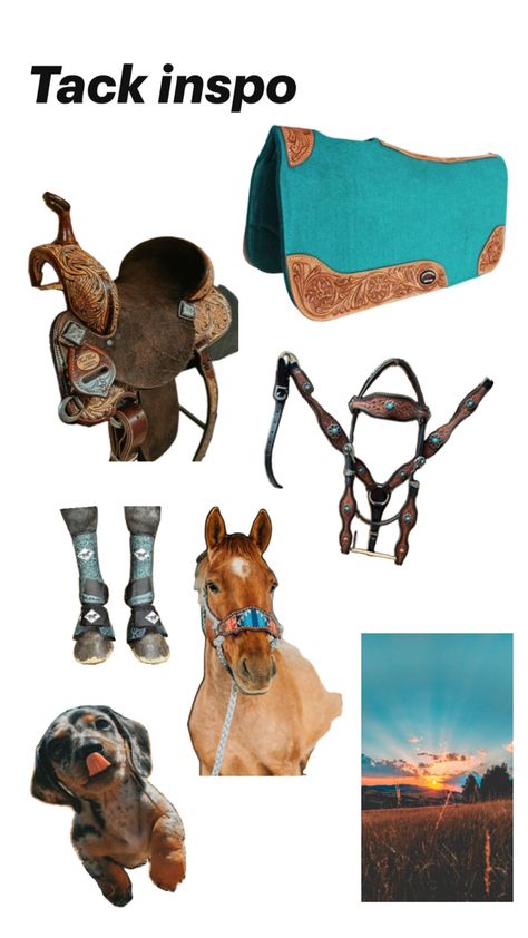 Looking for tack inspo and love the color teal??? I got you🐴🩵 I Got You, Horses, Color