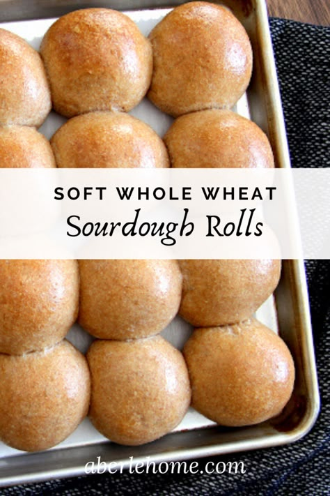 Sourdough Wheat Thins, Sourdough Whole Wheat Rolls, While Wheat Sourdough, Wheat Sourdough Recipes, Whole Wheat Sourdough Recipes, Whole Wheat Sourdough Starter Recipe, Sourdough Bun Recipe, Best Sourdough Starter Recipe, Wheat Rolls