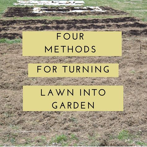 Four Easy Methods for Turning Lawn into garden Turning Lawn Into Garden, Turning Yard Into Garden, Vegtable Garden, Medicine Garden, Vegetable Garden Beds, Starting A Vegetable Garden, Grow Food, Herbs And Flowers, Starting A Garden