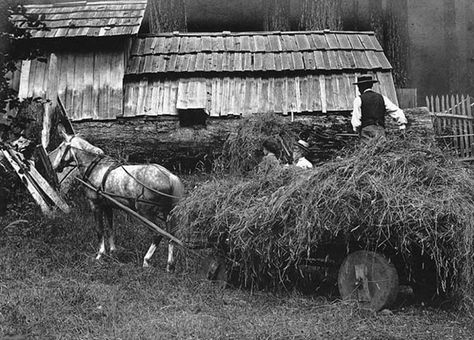 Posted 2/04/2004 HistoryLink.org Essay 5644 Share Local history buffs call Clark County the "Cradle of Pacific Northwest History,” reflecting the importance of the 628-square-mile southwestern Washington county as the scene of key historical developments. Here the Lewis and Clark expedition arrived in 1805, the British Hudson's Bay Company established Fort Vancouver in 1825, and the town of Vancouver was incorporated in 1857. The county’s location first made it an entrepôt (trading center), th Lewis And Clark Expedition, Pacific Highway, Hudson Bay Company, Western Washington, Clark County, Travel Route, The Cradle, Washington County, Hudson Bay