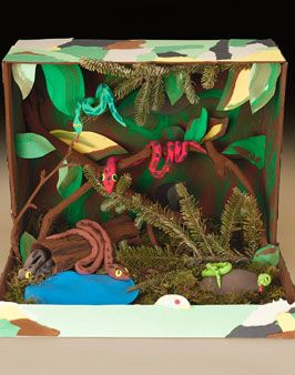 Rain Forest Diorama, Biomes Project, Rainforest Project, Jungle Crafts, Ecosystems Projects, Snake Crafts, Habitats Projects, Rainforest Habitat, Easy Arts And Crafts