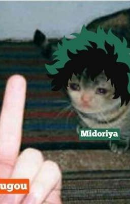 Memes Bnha, Bnha Memes, Anime Kitten, Anime Mems, Memes Anime, My Hero Academia Memes, Hero Wallpaper, Boku No Hero Academia Funny, 웃긴 사진