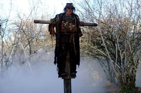 supernatural scarecrow | The Scarecrow's Post: A "Supernatural" Scarecrow Creepy Scarecrow, Scary Scarecrow, Children Of The Corn, Crusader Knight, Inspo Art, Halloween Props Diy, Haunted Mound, Halloween Scarecrow, Horror Masks