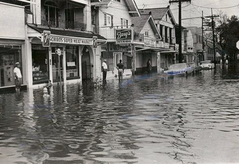 Louisiana Culture, New Orleans History, Louisiana History, Grand Isle, Visit New Orleans, South Louisiana, St Bernard, New Orleans Louisiana, Gulf Of Mexico