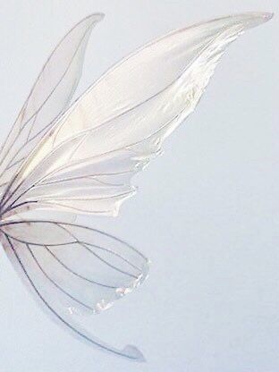 Fairy Wings, On Twitter, Twitter, White