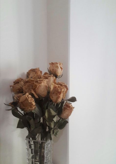 Fake Flowers Aesthetic, Dried Rose Arrangements, Aesthetic Dried Flowers, Fake Flower, Dry Rose, Dried Roses Aesthetic, Dried Rose Aesthetic, Aesthetic Wallpaper Dried Flowers, Dried Roses