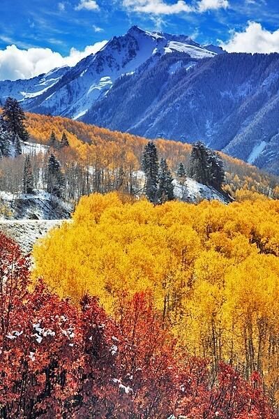 Autumn in Colorado Snow Pics, Mountain High, Have Inspiration, Colorado Mountains, Lombok, Pretty Places, Rocky Mountain, Oh The Places Youll Go, Aspen