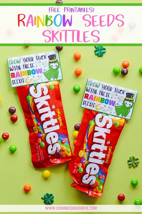 The easiest Rainbow Seeds gift idea - with free printables!   Rainbow Seeds | Rainbow Seeds Skittles | Rainbow Seeds Printable | St. Patrick's Day Gift Idea | St. Patrick's Day Printable | St. Patrick's Day Skittles | Down Redbud Drive #rainbowseeds #rainbowseedsprintable #rainbowseedsskittles Skittles Gift Ideas, Skittles Gift, Diy Engagement Gifts, Skittles Rainbow, St Patrick's Day Printables, St Patrick Day Treats, Bowling Gifts, Candy Grams, Diy Anniversary Gift