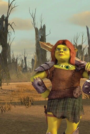 Fiona Shrek Character, Fiona Shrek, Princess Fiona, Movie Series, Favorite Movie, Shrek, Dreamworks, Costume Ideas, Beauty And The Beast