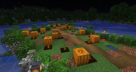 Pumpkin Patch Minecraft, Minecraft Pumpkin Patch, Minecraft Farming, Diy Minecraft Decorations, Minecraft Pumpkin, Minecraft Skins Cool, Minecraft Modpacks, Minecraft Gameplay, Minecraft Mansion