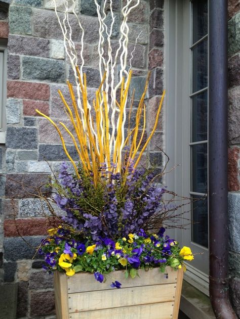 Spring Planter Ideas, Planter Inspiration, Spring Pots, Spring Planters, Deborah Silver, Summer Planter, Spring Planter, Porch Plants, Garden Works