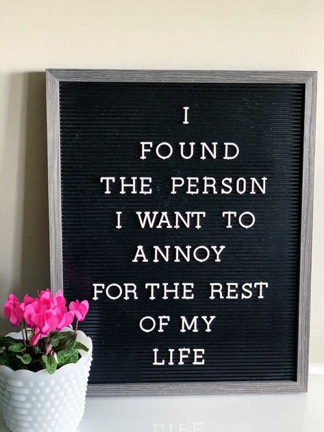 The BEST funny letter board quotes for your Valentine. Can also be used on chalkboards, for Valentines Day cards or notes. Cute Word Board Quotes, Romantic Letter Board Quotes, Anniversary Letter Board Quotes, Marriage Letterboard Quotes, To My Valentine Quotes, Funny Love Letter Board Quotes, Letter Board Song Lyrics, Cute Notes For Him Funny, Funny Valentines Letter Board Quotes