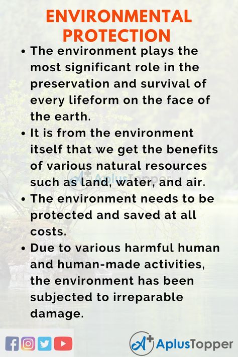 Environmental Protection Essay | Essay on Save Environment for Students and Children in English - A Plus Topper Environment Essay, Ielts Essay, English Conversation For Kids, Essay Writing Examples, Ielts Writing Task 2, English Essay, Save Environment, Physics Notes, Essay Tips