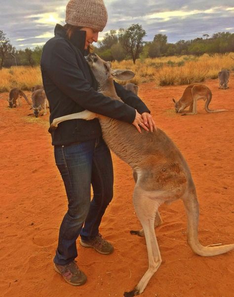 Rescued Kangaroo Hugs Her Rescuers Every Day, And The Internet Can't Handle It | Bored Panda Animals In Australia, Animal Hugs, The Volunteers, Hugs And Cuddles, Save Animals, Baby Deer, Zoology, Sea World, Animals Of The World