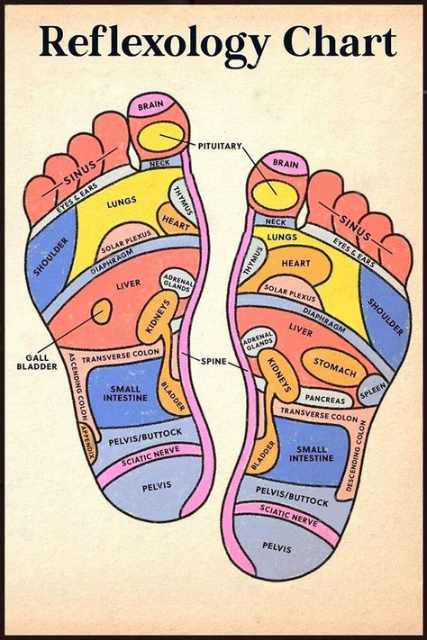 Foot Massage Chart, Feet Reflexology, Massage Therapist Gifts, Reflexology Foot Chart, Foot Reflexology Massage, Reflexology Chart, Reflexology Massage, Foot Reflexology, Holistic Therapies