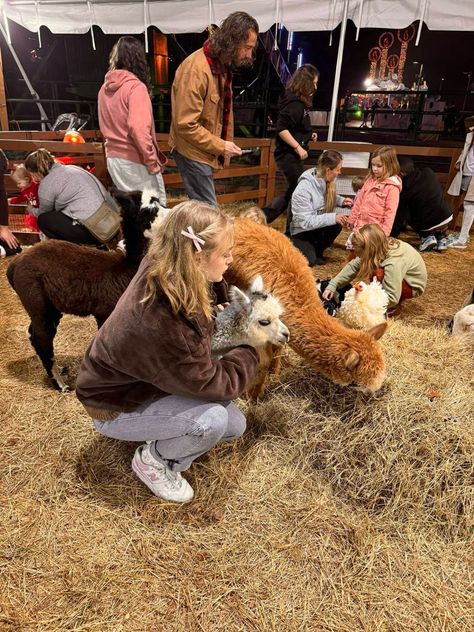 Animal, farm, fair, barn, llama, alpaca, aesthetic, country Alpaca Aesthetic, Mini Dates, Fair Aesthetic, Farm Aesthetic, Aesthetic Country, Farm Show, Fair Photography, Farm Day, Summer Fair