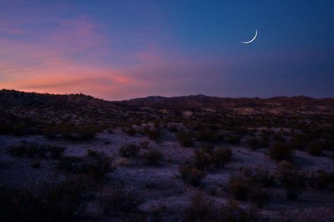 Desert glow Desert At Night Aesthetic, New Mexico Aesthetic, New Mexico Sunset, Southwestern Aesthetic, Devils Claw, Desert At Night, Barstow California, Desert Dweller, Sky Gazing