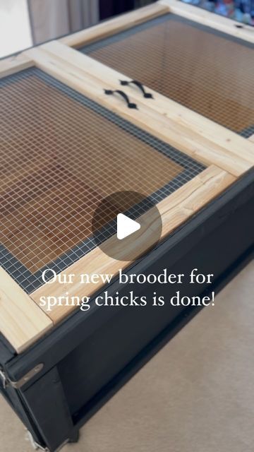 Diy Brooder, Diy Brooder Box Ideas, Diy Chicken Brooder, Chick Brooder, Chicken Brooder Ideas, Chicken Brooder, Chicken Diy, Baby Chicks, Raising Chickens