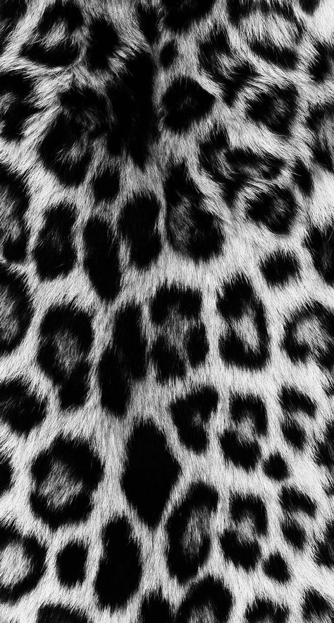 Fall Collage, Leopard Print Wallpaper, Cheetah Print Wallpaper, Animal Print Wallpaper, Animal Print Pattern, Iphone Wallpaper Photos, Iphone Prints, Black And White Wallpaper, Printed Backgrounds