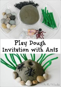 Play Dough Invitation with Ants. Kids will love playing with this play dough set up all the while working on fine motor skills, crucial for learning to write! Playdough Ideas, Play Dough Invitation, Play Dough Sets, Insects Preschool, Dough Ideas, Bugs Preschool, Insect Activities, Playdough Activities, Bug Crafts