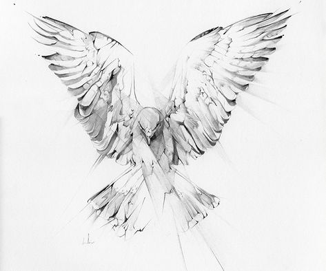 Bird Drawing Tattoo, Dove Tattoo Design, Vogel Tattoo, Hawk Tattoo, Dove Tattoos, Dove Tattoo, Tattoo Zeichnungen, Bird Drawing, Inspiration Tattoos