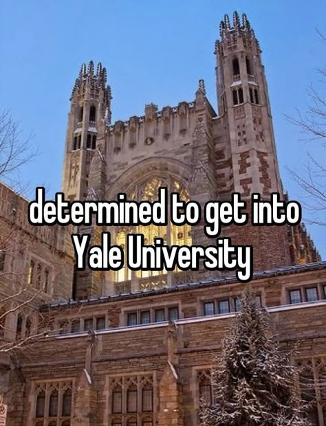 University Inspiration, Harvard Yale, Yale Law School, College Vision Board, Law School Inspiration, College Motivation, School Goals, Career Vision Board, Dream Vision Board