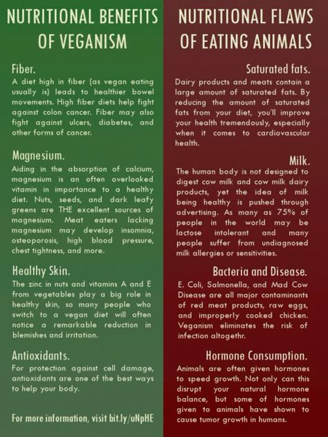 Veganism Vegan Benefits, Vegan Facts, Fruit Health Benefits, Matcha Benefits, Lemon Benefits, Fiber Diet, Coconut Health Benefits, Why Vegan, High Fiber Diet