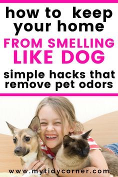 Pet Urine Smell, Carpet Painting, Dog Odor Eliminator, Dog Pee Smell, Pet Odor Remover, Pee Smell, Pet Odor Eliminator, Pet Smell, Dog Remedies