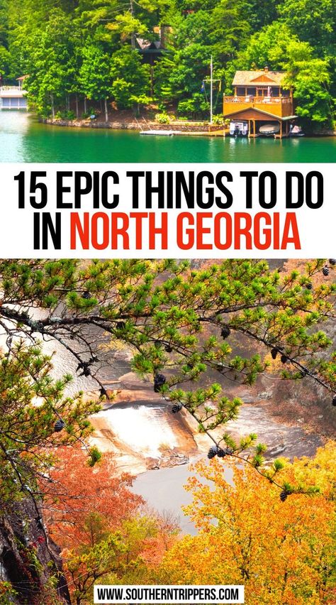 15 Epic Things To Do In North Georgia Georgia Fall, Georgia Vacation, Road Trip Places, Arizona Road Trip, Kids Things To Do, North Georgia Mountains, Georgia Travel, Georgia Mountains, Fall Things