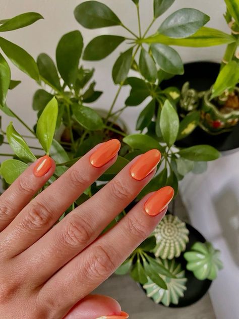 august nails 2024 #AugustNails2024 #SummerNailTrends #ChicManicure #NailArtIdeas #TrendyNails #2024NailDesigns #NailInspo #StylishNails #SummerBeauty #NailGoals Orange Chrome Nails Fall, Orange Chrome Acrylic Nails, Chrome Fall Nails, Orange Chrome Nails, Almond Nails Aesthetic, Nails Summer Blue, Aesthetic Nails Summer, Tangerine Nails, Nails By Skin Tone Range