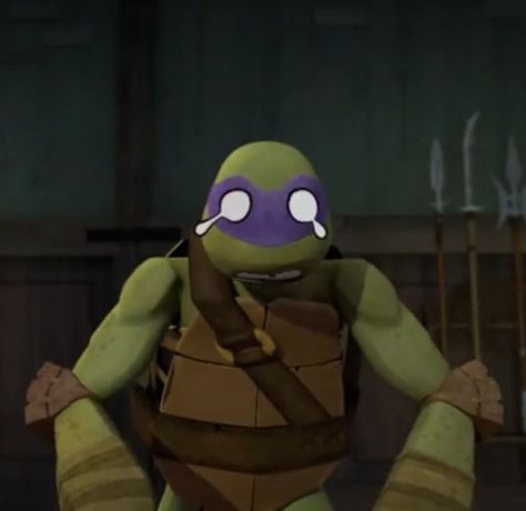 Donnie 2012, Teenage Mutant, Turtles