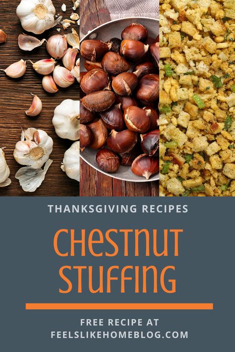 Stuffing With Chestnuts Recipe, Chestnut Stuffing Thanksgiving, Chestnut Dressing Recipe, Chestnut Stuffing Recipes, Chestnuts Recipes, Sausage Dressing, Stuffed Turkey Breast, Recipes To Make With Kids, Chestnut Stuffing