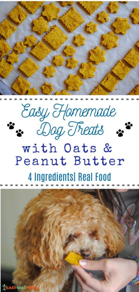 Dog Treats With Peanut Butter, Homade Dog Treats, Dog Treats Homemade Peanut Butter, Can Dogs Eat Eggs, Peanut Butter And Oats, Easy Homemade Dog Treats, Dog Treats Homemade Easy, Easy Dog Treat Recipes, Dog Biscuits Homemade