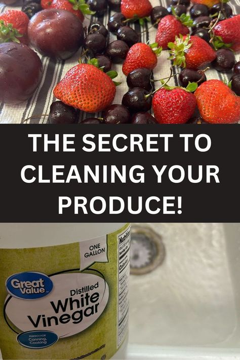 Do you wash your produce before eating it? I used to only rinse my apples or pears with a little water and then bite into them. For blueberries and grapes, I would put them in a colander and rinse them with cold water. While that was a good start, it wasn’t enough to really clean my fruit. I changed the way I wash my fruits and vegetables. Now I use a vinegar and water solution to clean almost all of my produce that I bring home from the store. Using Vinegar To Clean, Fruit And Vegetable Wash, Vinegar Rinse, Aloe Vera Benefits, Storing Fruit, Storing Vegetables, How To Wash Vegetables, Vinegar Cleaning, Health Heal