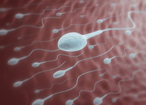 How to Boost Sperm Count Sperm Count Increase, Sperm Health, Diets For Men, Low Sperm Count, Sperm Count, Male Fertility, What Happened To You, Mens Health, Getting Pregnant